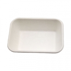 350ML Biodegradable Compostable Bagasse Sugarcane Disposable Tray