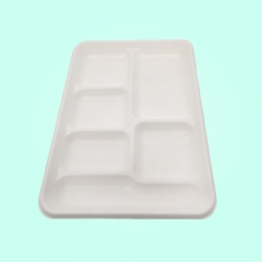Vassoio quadrato biodegradabile in canna da zucchero per imballaggio alimentare a 6 scomparti