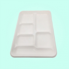 6 compartment food packaging biodegradable square sugarcane tray