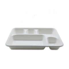 Biodegradable Tray Bagasse 5 Compartment Eco Tray For Lunch