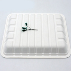 100% biodegradable food packaging sugarcane bagasse meat tray