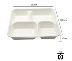 Biodegradable christmas compartment reusable lunch tray