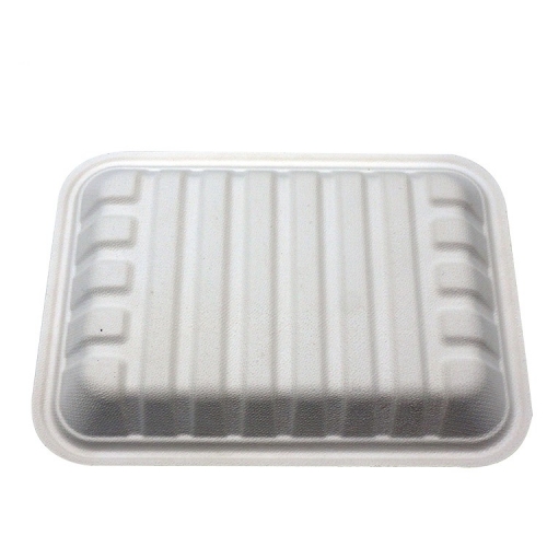 Biodegradable sugarcane bagasse rectangle fruit tray for supermarket