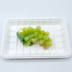 Biodegradable sugarcane bagasse rectangle fruit tray for supermarket