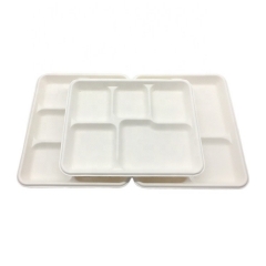 Bagasse Biodegradable Sugarcane Disposable Compostable Food Trays