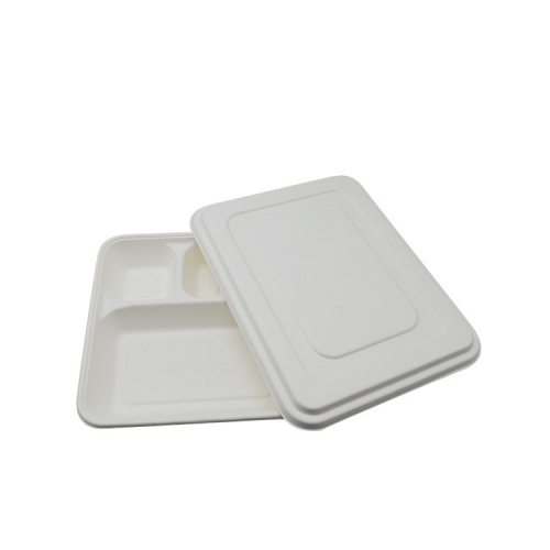 Biologisch abbaubare Zuckerrohr-Bagasse 5-Fach-Tabletts mit Deckel