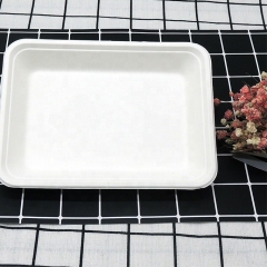 100% Compostable Bagasse Microwavable Sugarcane Tray for Food