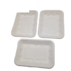 Biodegradable Compostable Food Sugarcane Pulp Packing White Tray