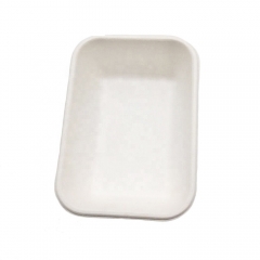 Plateau jetable compostable de canne à sucre de bagasse de 650 ml biodégradable avec le couvercle