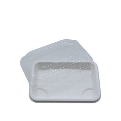 Biodegradable Sugarcne Sushi Box Sushi Takeaway tray