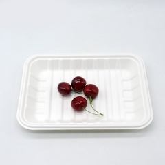 100% biodegradable food packaging sugarcane bagasse meat tray