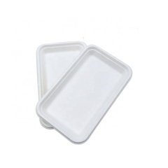 9 Inch Compostable Rectangular Bagasse Sugarcane Pulp Tray