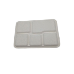 5-compartment tray biodegradable decomposable sugarcane bagasse tray