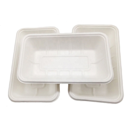 750ML Biodegradable Compostable Bagasse Sugarcane Disposable Tray