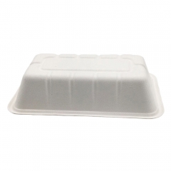 Plateau de bagasse de canne à sucre biodégradable 100% compostable pour salade de légumes