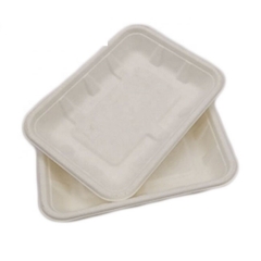 Plateau blanc d'emballage de pulpe de canne à sucre de nourriture compostable biodégradable