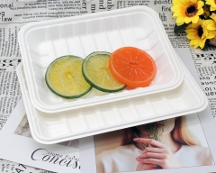 100% degradable disposable sugarcane pulp white meat tray