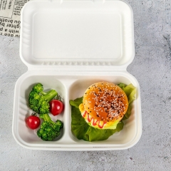 Popular Amazon Set Wholesale Price Takeout Bagasse Biodegradable Takeout Food Container