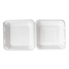 Wholesale Price Food Container Compostable Sugarcane Pulp Lunch Box