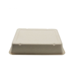 take away fast food packaging rectangular sugarcane bagasse tray