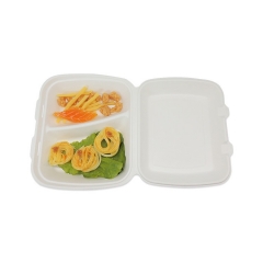 Waterproof and oilproof 2 compartment take away packaging sugarcane lunch box for food