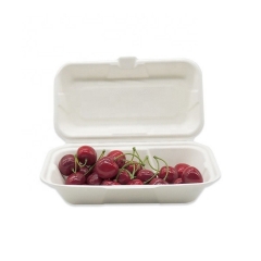Takeaway biodegradable eco friendly sugarcane bento food container