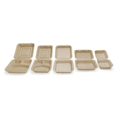 Wholesale Price Sugarcane Takeout Lunch Box Compostable Takeout Food Container