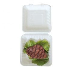 Wholesale Take-out Tableware Biodegradable Disposable Food Packing Container