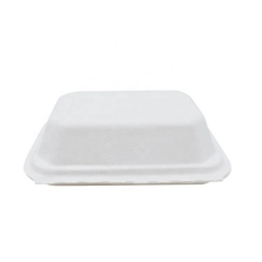 Boîte de canne à sucre Emballage biodégradable Conteneurs alimentaires en bagasse