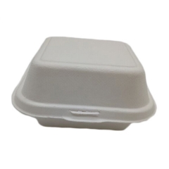 Sugarcane box food containers disposable paper