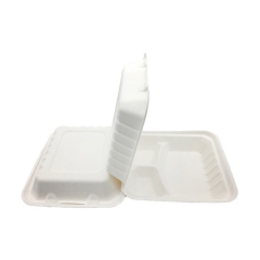 scatola di polpa di canna da zucchero Scatola da pranzo in bagassa di canna da zucchero biodegradabile a 3 griglie