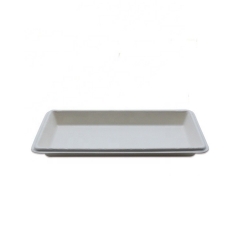 New promotional to go disposable biodegradable bagasse sushi party food tray