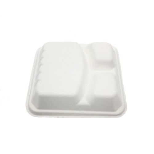 sugarcane pulp box 3-grid biodegradable sugarcane bagasse lunch box