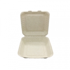 Rectangle Bagasse Clamshell Compostable Ecofriendly Disposable Food Containers