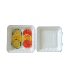 Porta via Take Out Container Imballaggio per alimenti Scatola da pranzo in polpa di canna da zucchero Confezione da 200 9 pollici