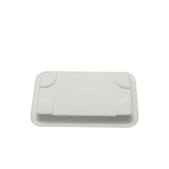 Sugarcane Trays Disposable Biodegradable Compostable Eco Sushi Box