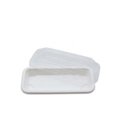 Sugarcane Trays Disposable Biodegradable Compostable Eco Sushi Box