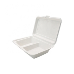 Two-compartment flip type disposable biodegradable sugarcane lunch box