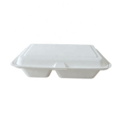 Two-compartment flip type disposable biodegradable sugarcane lunch box