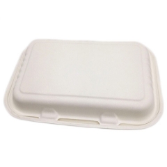 Takeaway Sugarcane Food Container Disposable Lunch box with Lid