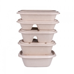 Take Away food containers 2 Compartments Sugarcane Bagasse Biodegradable Fast Food Box