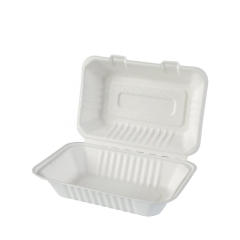 Take Away Benutzerdefinierte Lebensmittelverpackungen mit 2 Fächern Zuckerrohr Bagasse Lebensmittelbehälter