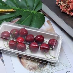 Neue Werbeaktion zum Mitnehmen biologisch abbaubares Bagasse Sushi Party Food Tablett
