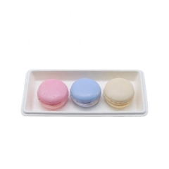 New promotional to go disposable biodegradable bagasse sushi party food tray