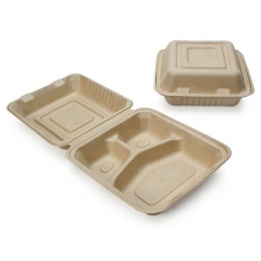 Wholesale Price Sugarcane Takeout Lunch Box Compostable Takeout Food Container