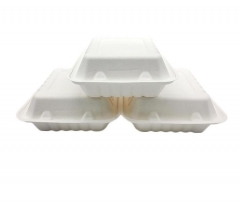 Boîte à déjeuner de bagasse de canne à sucre compostable en gros Conteneur alimentaire jetable biodégradable