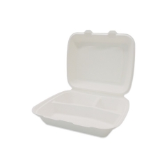 Wholesale white disposable biodegradable sugarcane bagasse clamshell packaging box