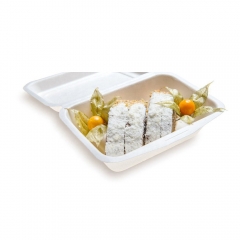 Safe And Healthy Biodegradable Compostable Bagasse Sugarcane Disposable Lunch Box