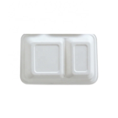 Two-compartment flip type disposable biodegradable sugarcane lunch box