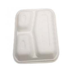 Contenitori per il pranzo in bagassa a conchiglia in scatola componibile di canna da zucchero